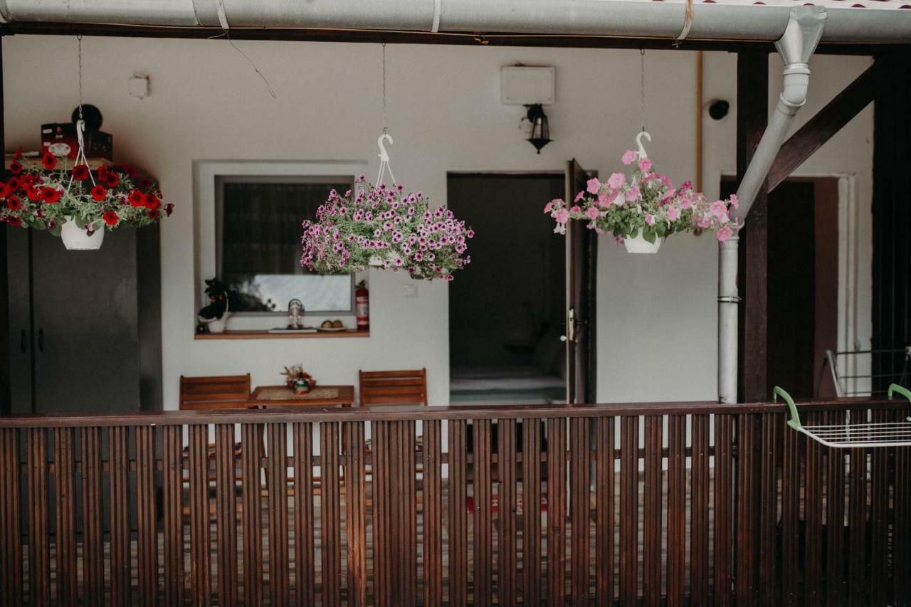 Paulaapartment&Rooms Орадя Экстерьер фото
