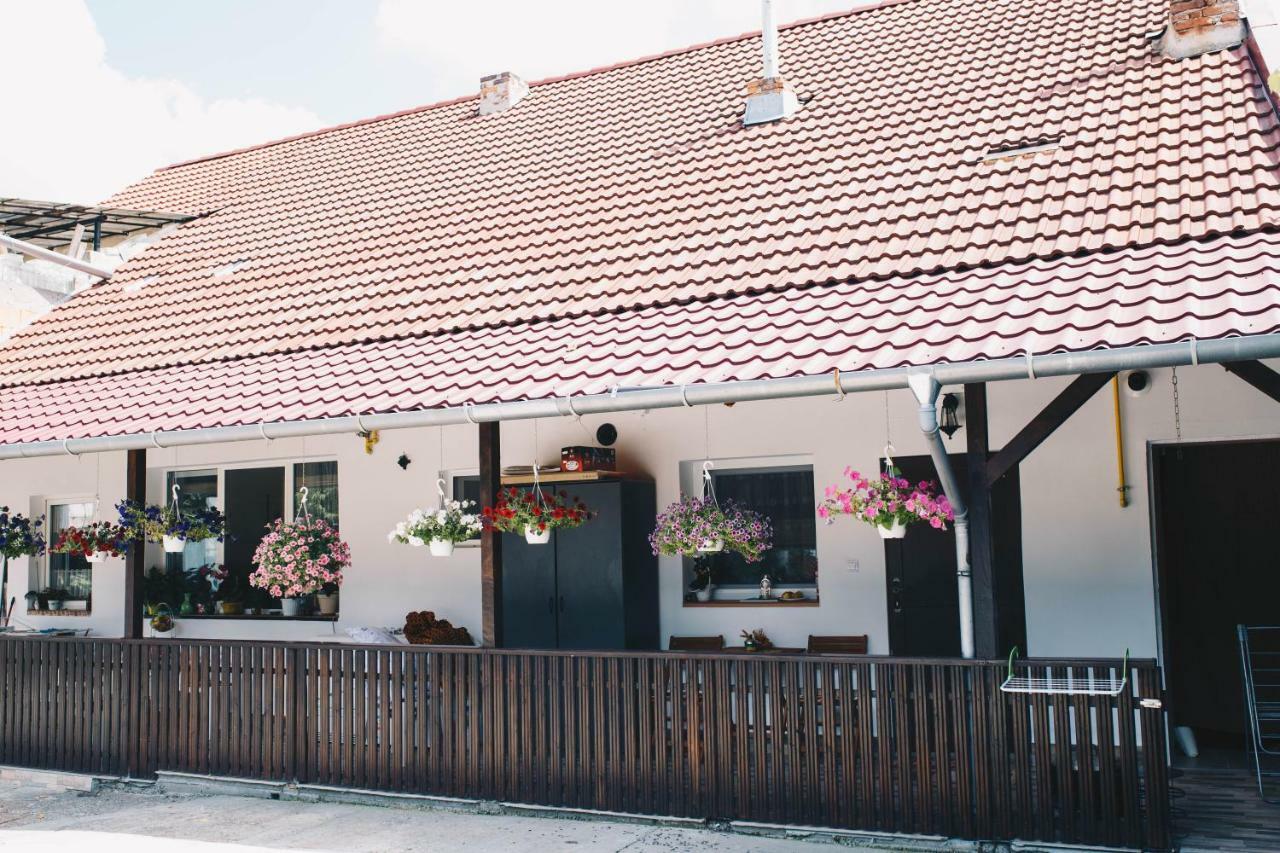 Paulaapartment&Rooms Орадя Экстерьер фото